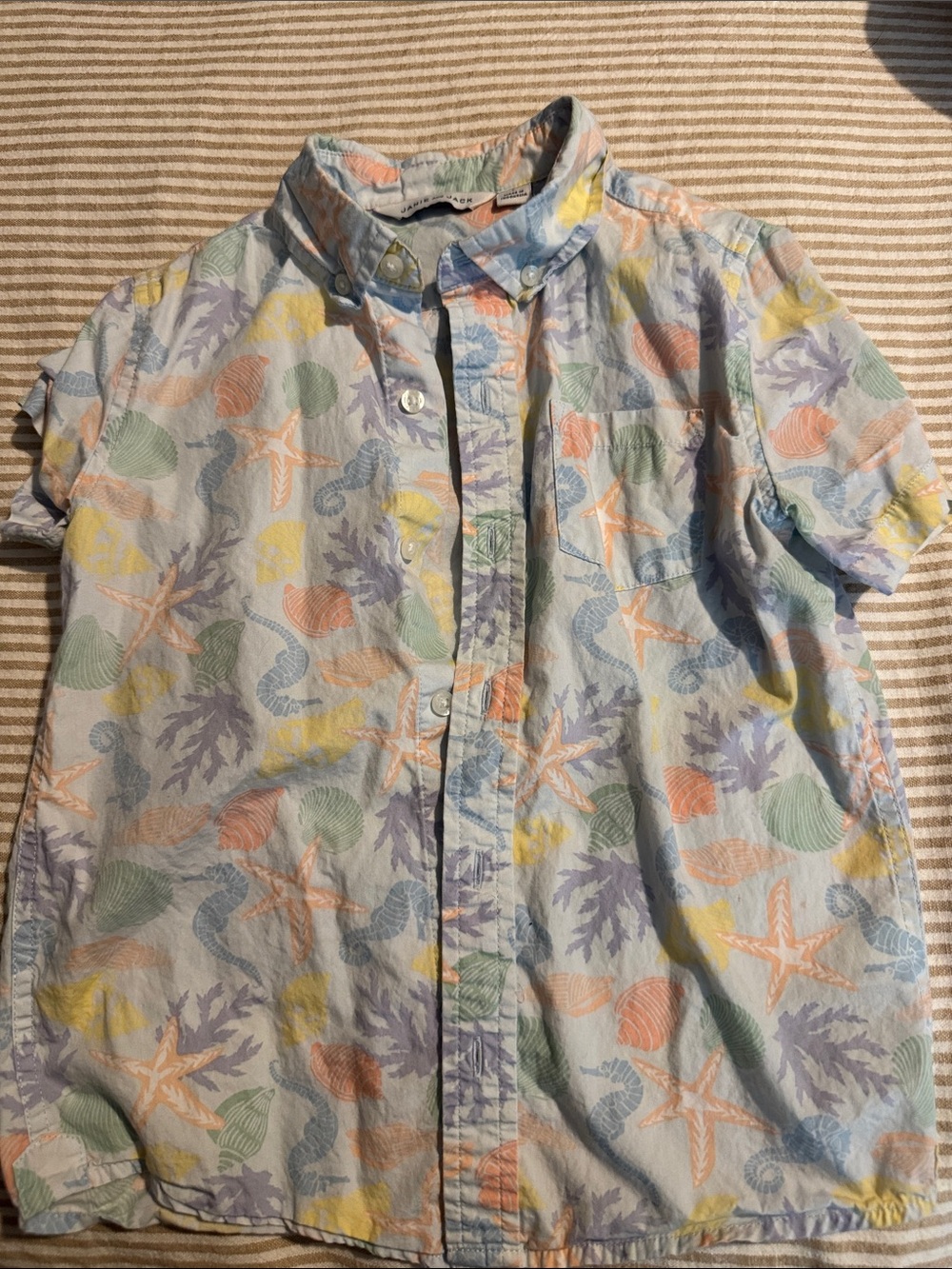Pastel Seashell Print Button-Up Shirt